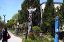 ubc_totem1